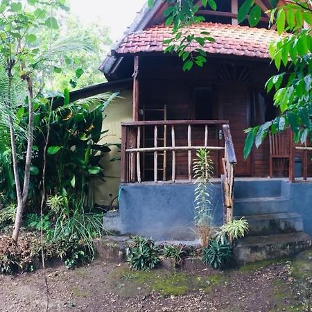 Echo Alam Nusa Lodge Ped Exterior foto